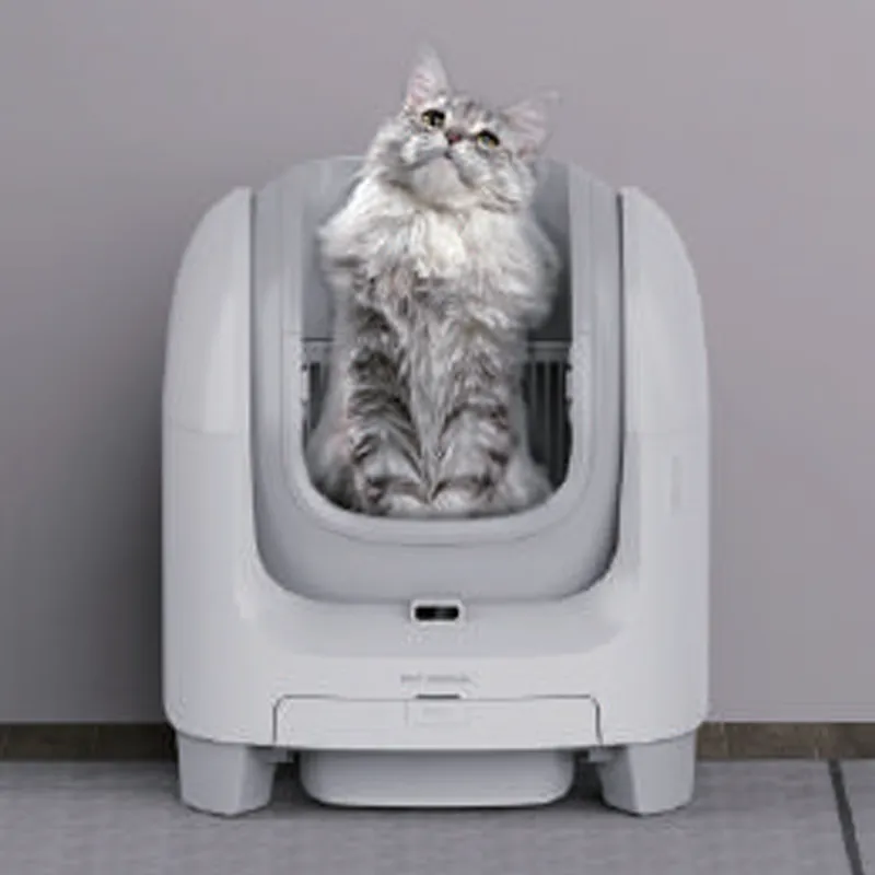 fournisseur de litière intelligente pour chat
