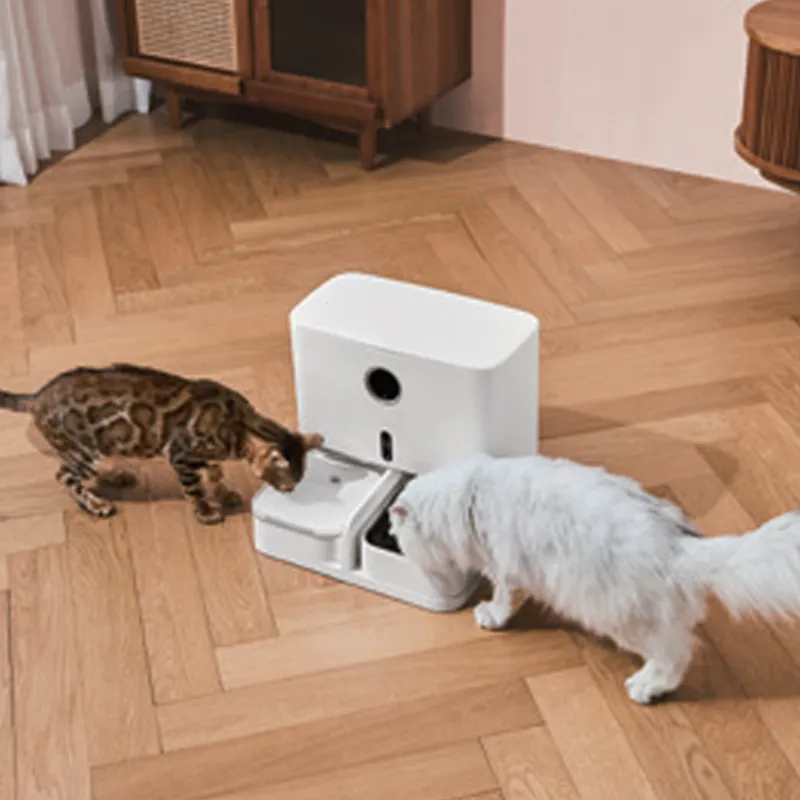 Smart Pet Feeder & Fontaine Chine