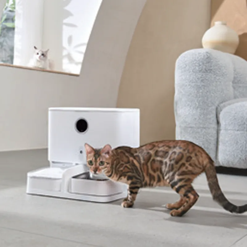 Fabricant de distributeurs intelligents et fontaines pour animaux de compagnie à vendre